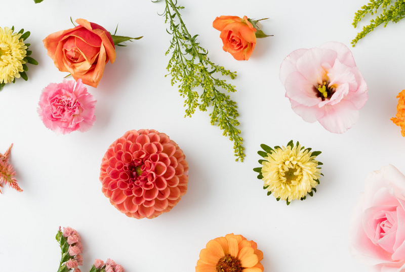 orange pink and yellow flowers arranged on white background